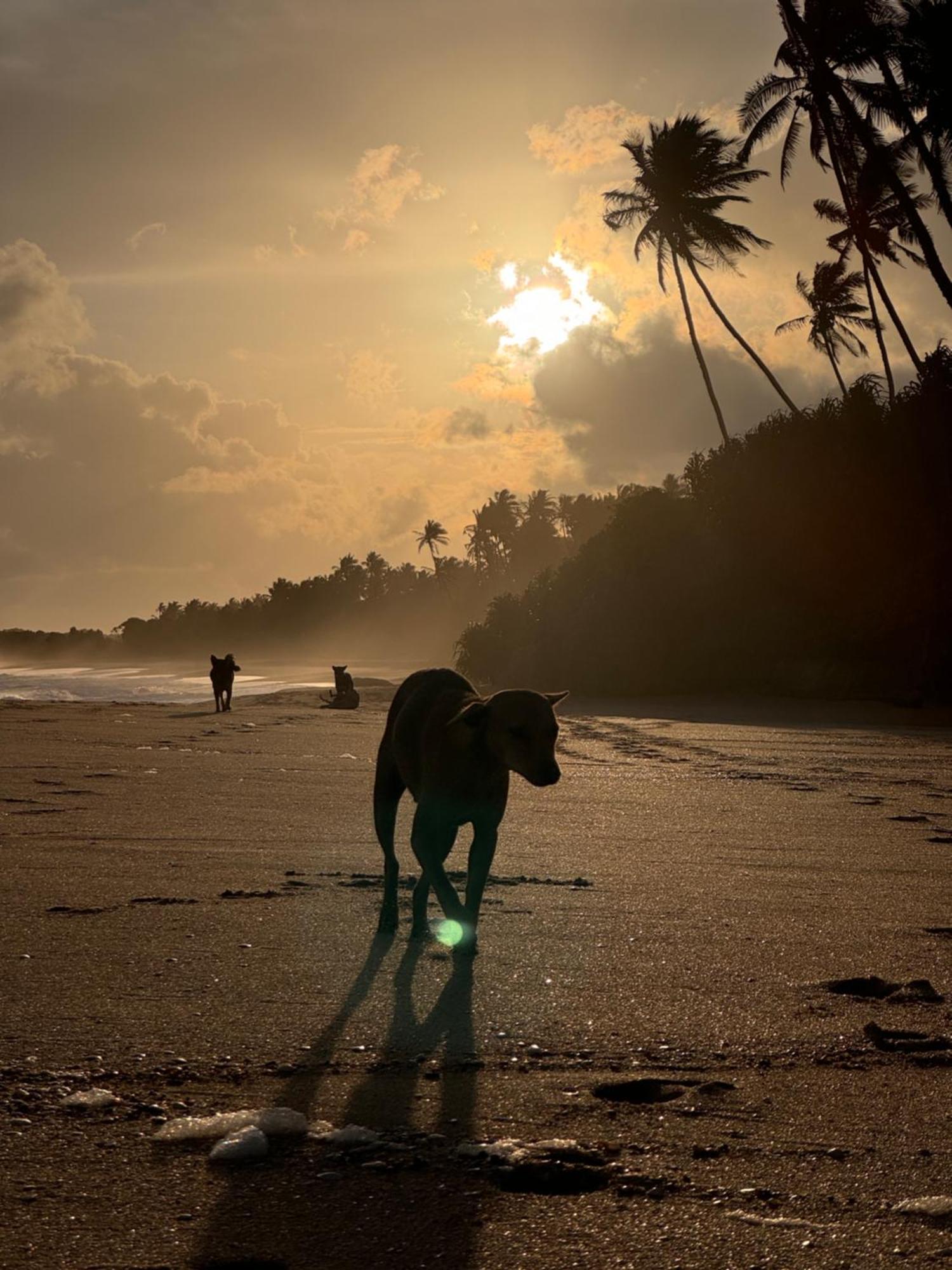 Maritime Nest Cabanas Tangalle Buitenkant foto
