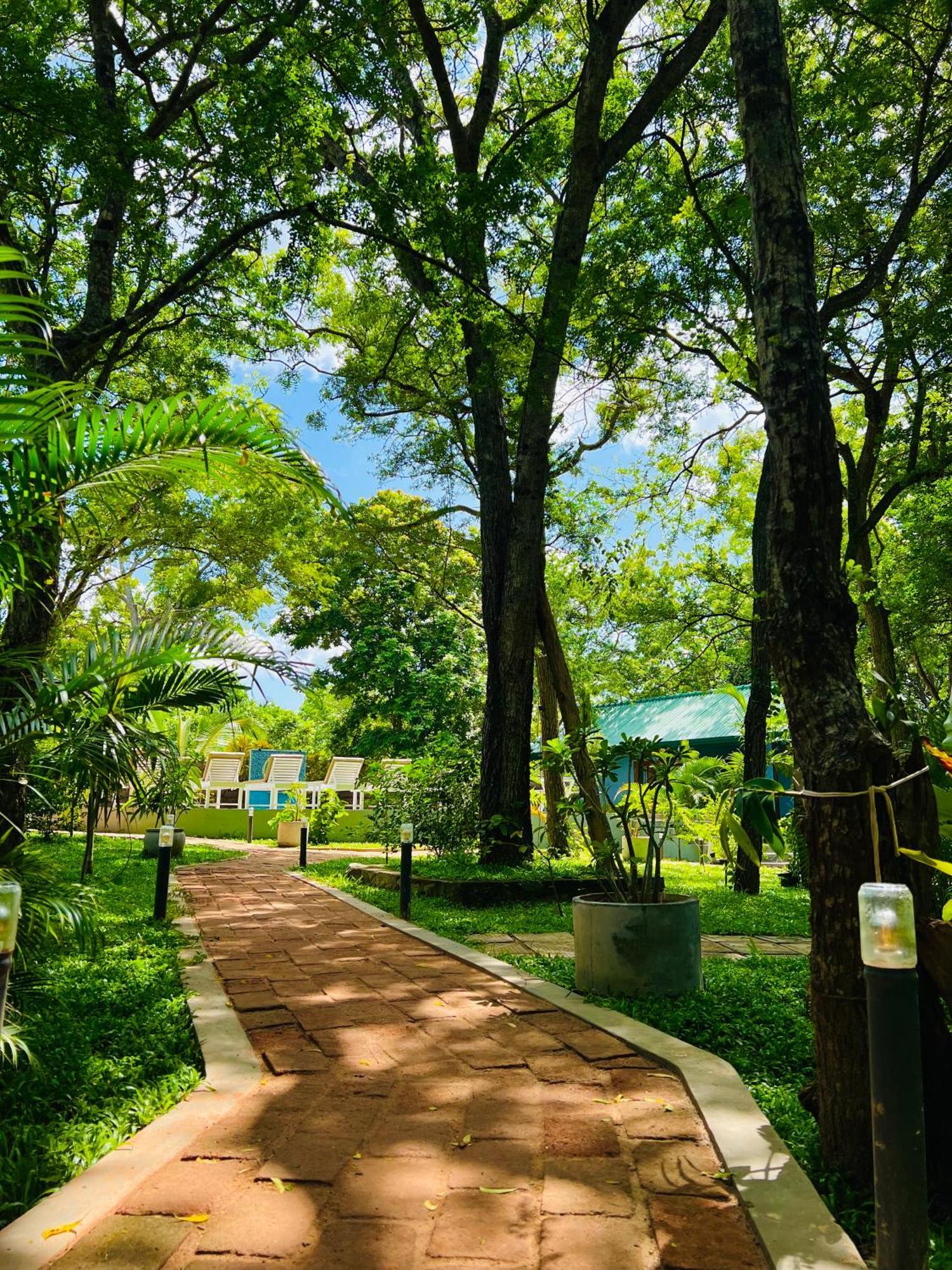 Maritime Nest Cabanas Tangalle Buitenkant foto